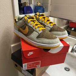 Brand New Men’s Nike Dunk Size 12