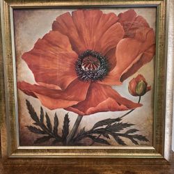 Poppy I Wall Art Print By Galley