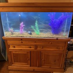 55 Gallon Fish Tank
