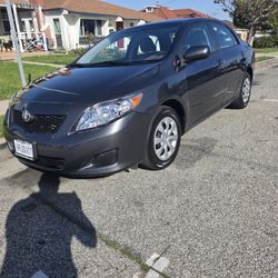 2010 Corolla LE