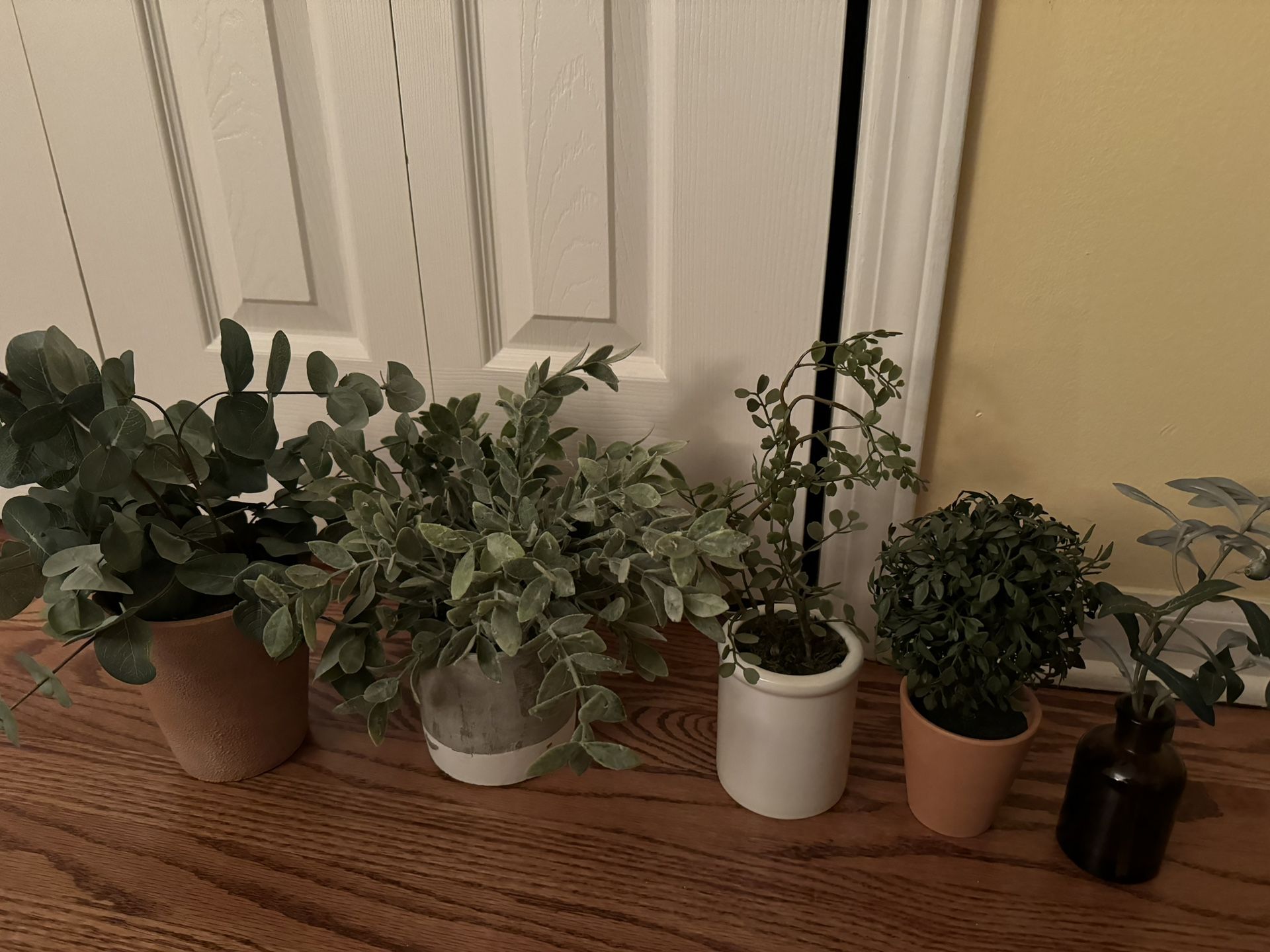 Fake Plants