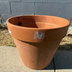 Clay Pots Flowers Plants Mini Tree 2 Available 