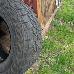 Courser Mxt Tires