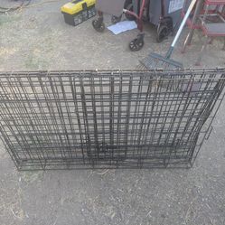 Medium Sized Cage