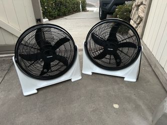 Household Fan