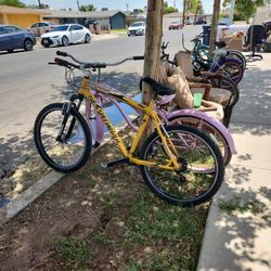 Mountain Bike SPECIALIZED M4  Secific Alloy Manipulation