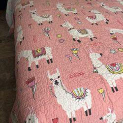 Twin quilted bedspread and sham