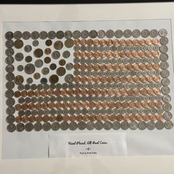 US Coin Flag🇺🇸 (All Real Coins) 