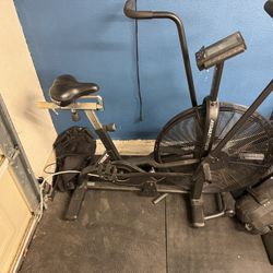 Assault Bike (Fan bike)