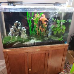Fish Tank Seaclear System2  40gls