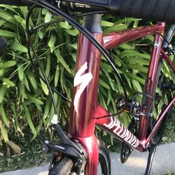 “SPECIALIZED   ALLEZ   MAROON   58 “