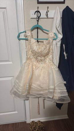 Beige Quinceañera court dress