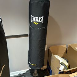 Everlast Punching Bag