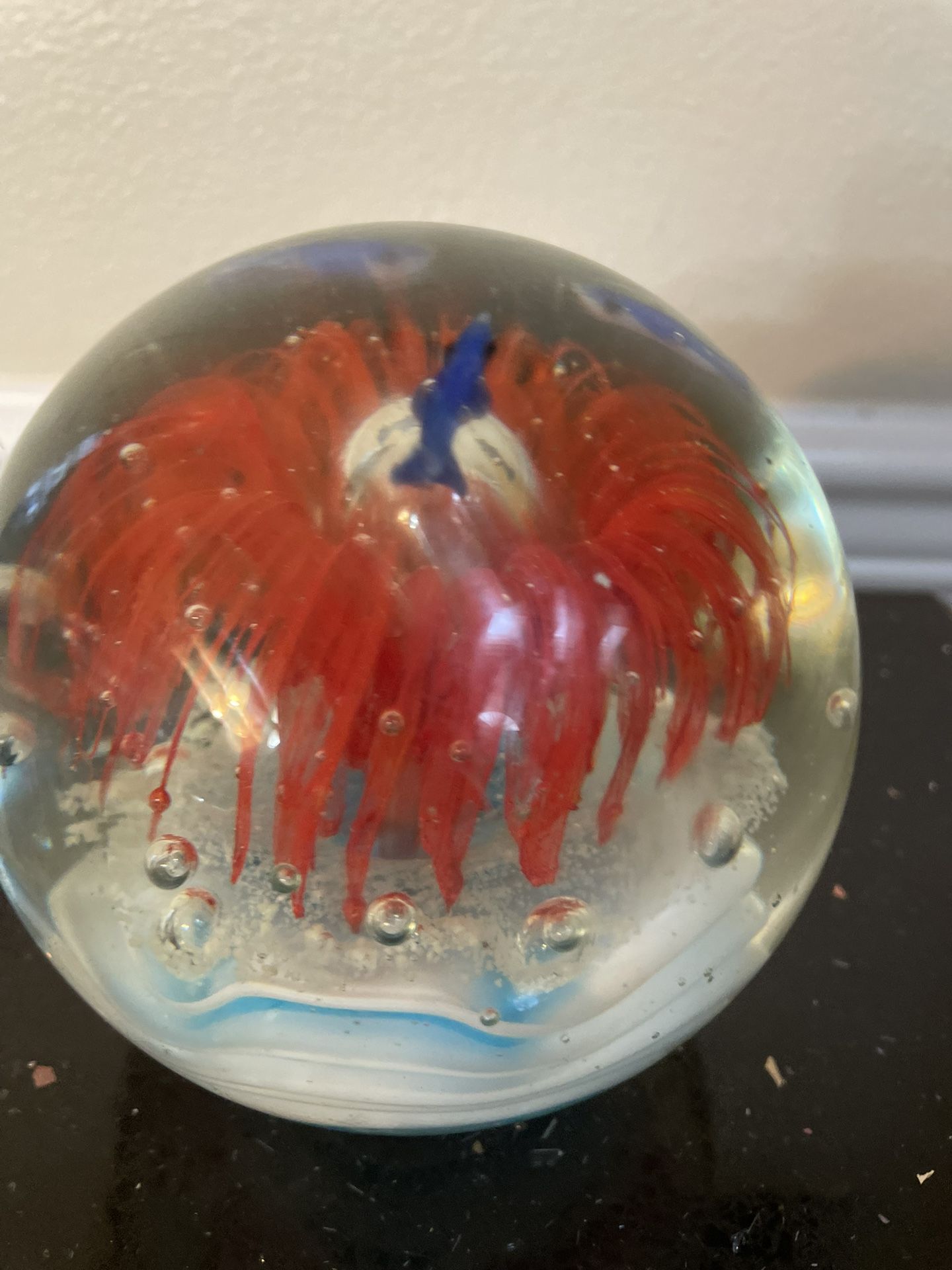 Fish Dolphins Paperweight Aquarium Round Art Glass 5”
