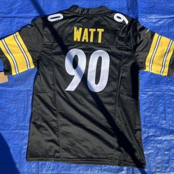 NFL Pittsburgh Steelers 