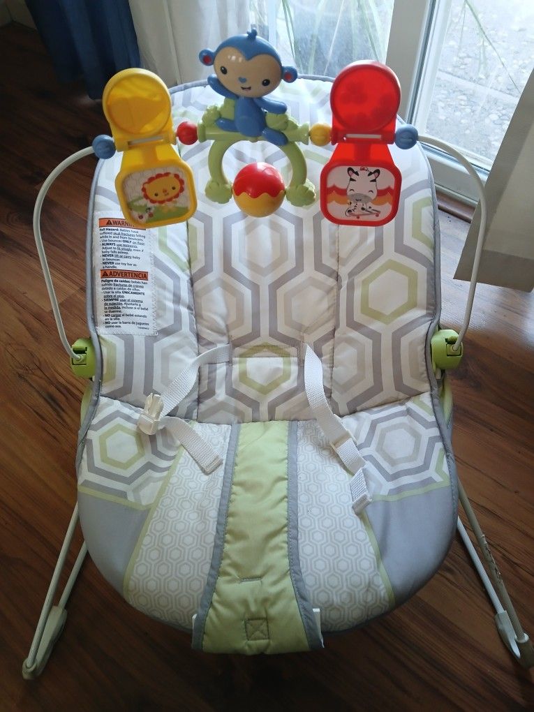 Babys First Bouncer