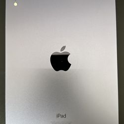 iPad Mini 6th Gen 256gb