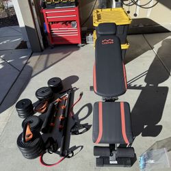 Weight Bench