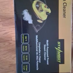 STEAM CLEANER 