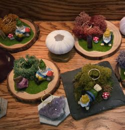 Holders For Air Plants / Notes / Photos / Cards