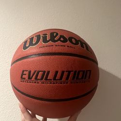 Wilson Evolution Game Ball