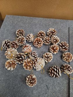 24ct Snow Frosted Pinecone Christmas Tree Ornaments Gold Cord NEW IN BOX