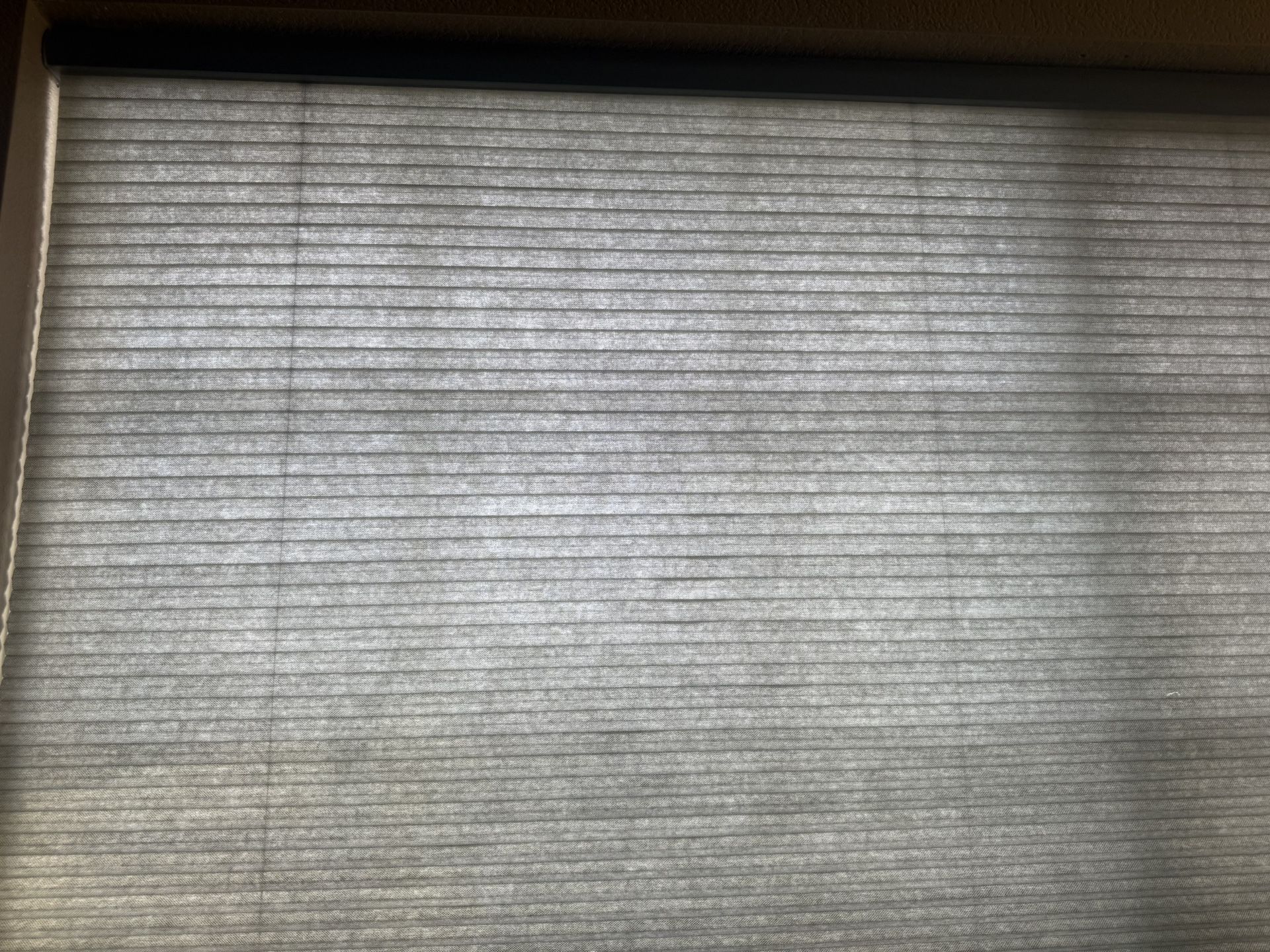 Light Filtering Cordless Cellular shades (2 Different Sizes)