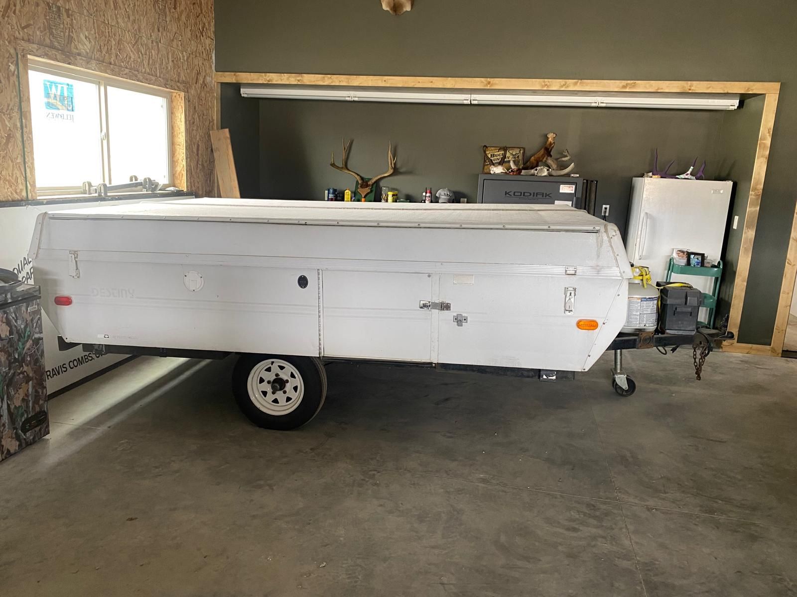 1993 Coleman Destiny