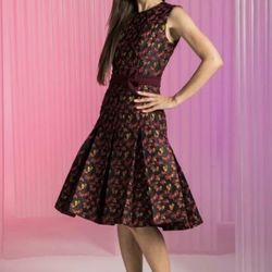 Handmade Dress NWT Shiela dress From Paul Carroll