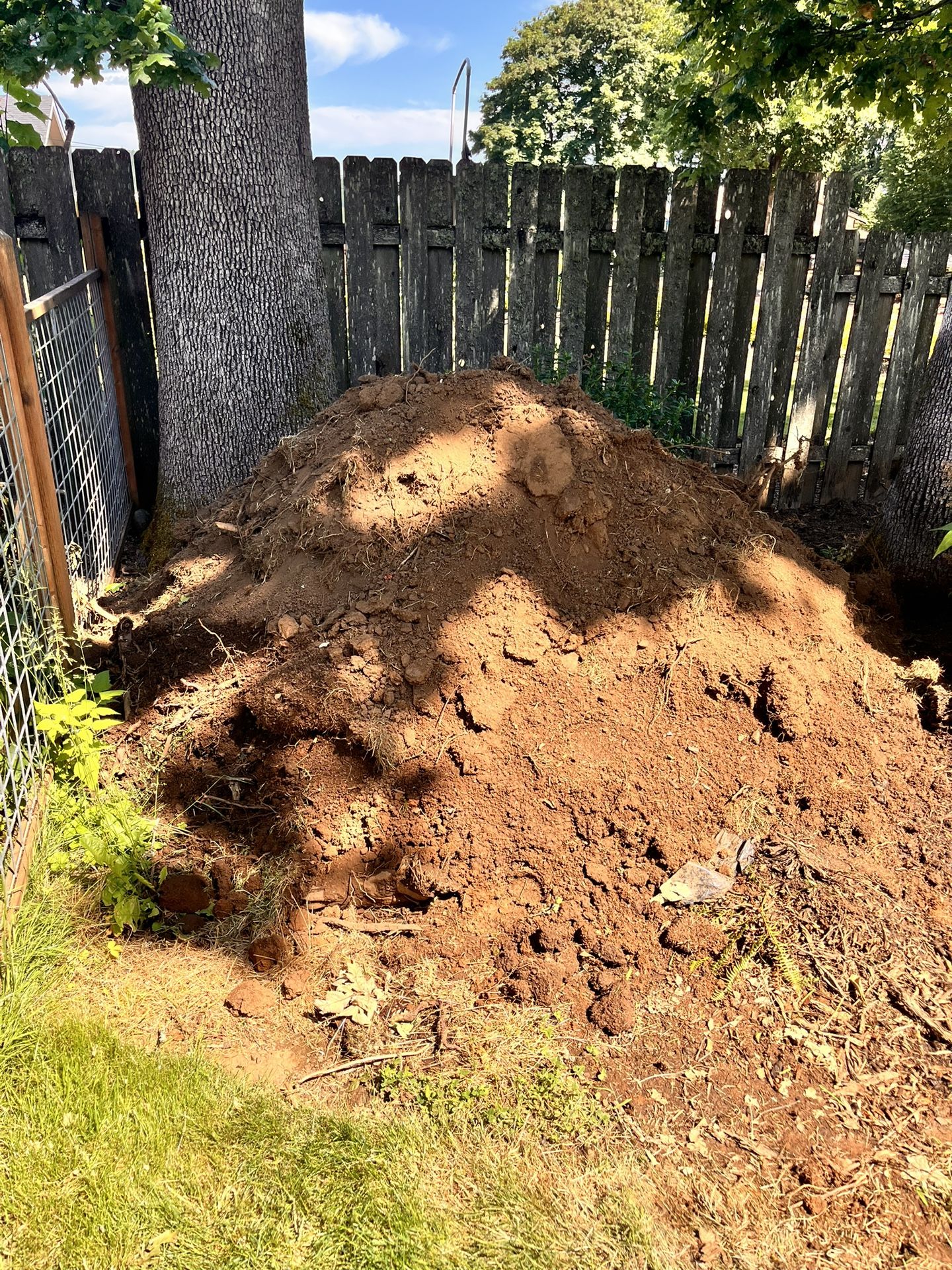 Dirt Removal Needed