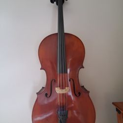 Eastman Cello VC95 4/4