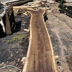 Black Walnut Live Edge Slabs 