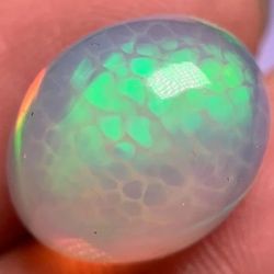 2 Ct. Australian Harlequin Opal AAA+ Grade Oval Gemstone 