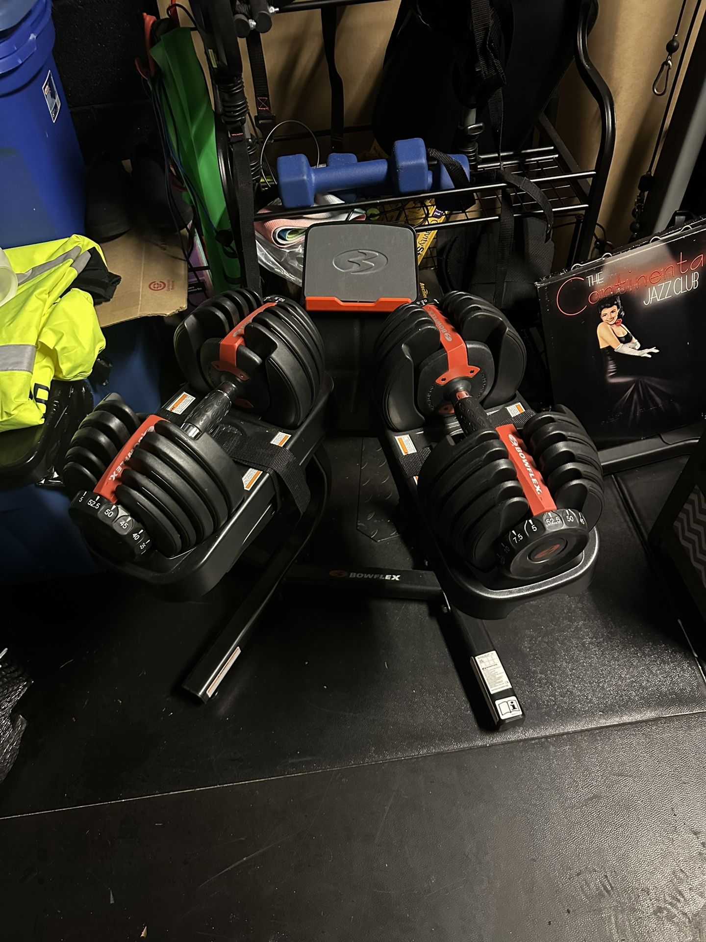 Bowflex SelectTech 552 Dumbbells + Stand – READY FOR PICKUP
