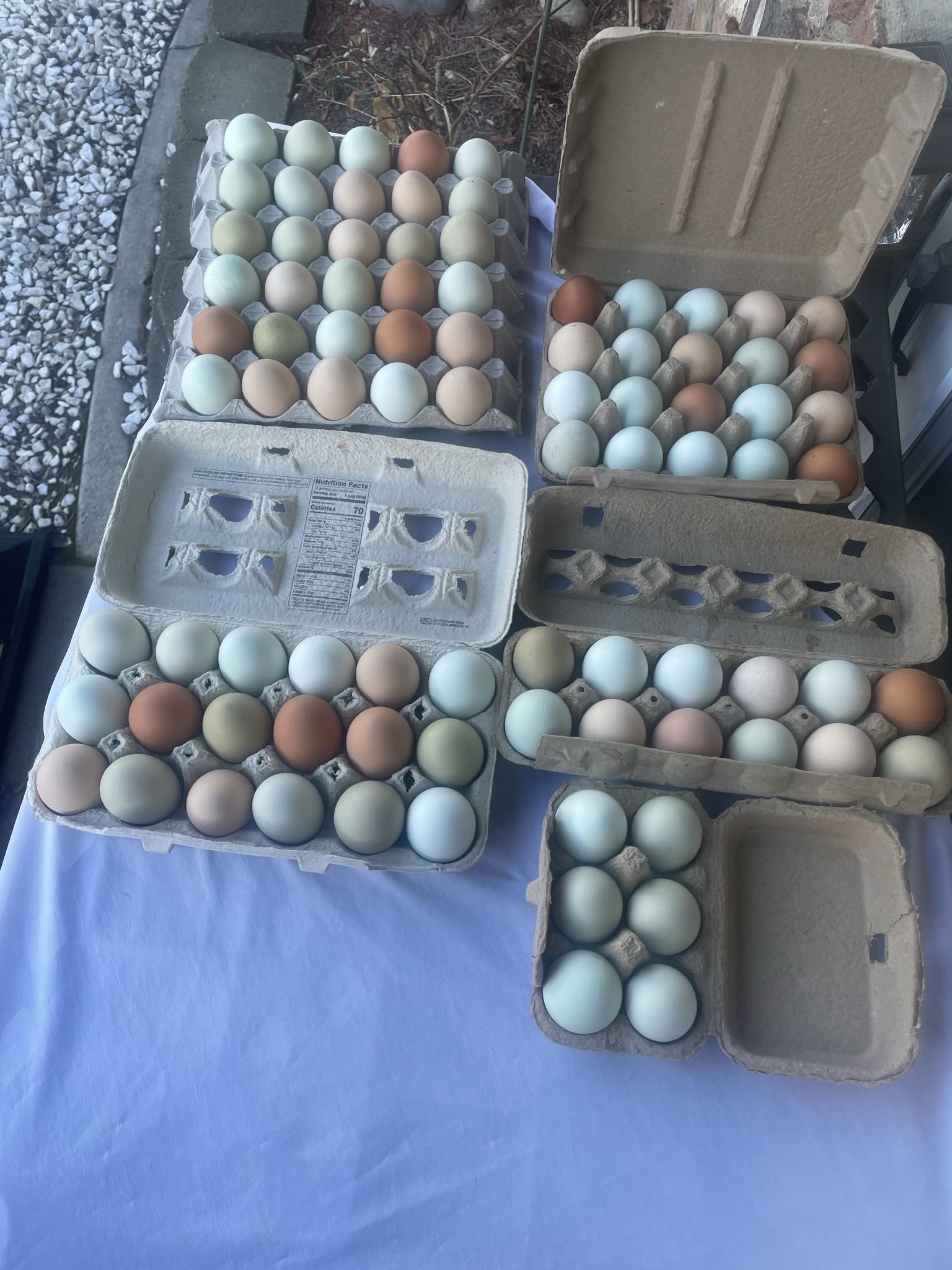 (12) One Dozen Free Range Eggs For Only $5.00