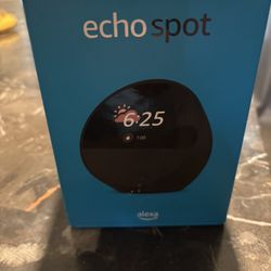 Echo Spot