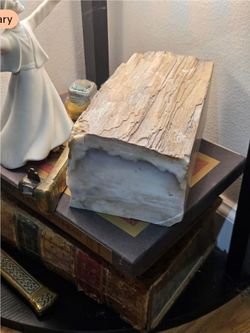 Large petrified wood with polished section. Over 9 lbs!