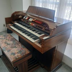 Organ