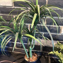 Artificial Fake Plant