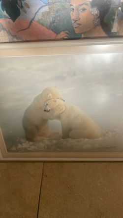 Two polar bears framed picture