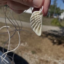 Angel Wing Whale Bone 