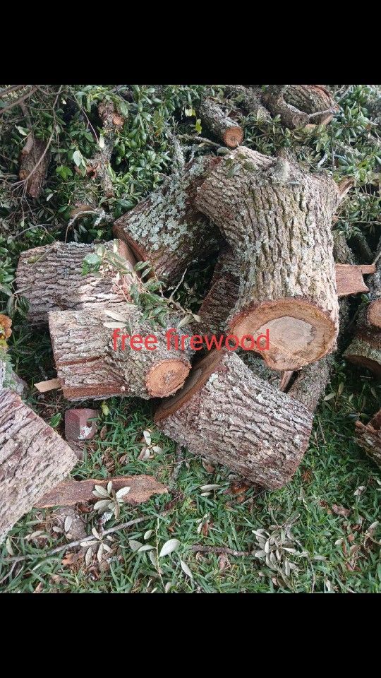 Free Firewood 