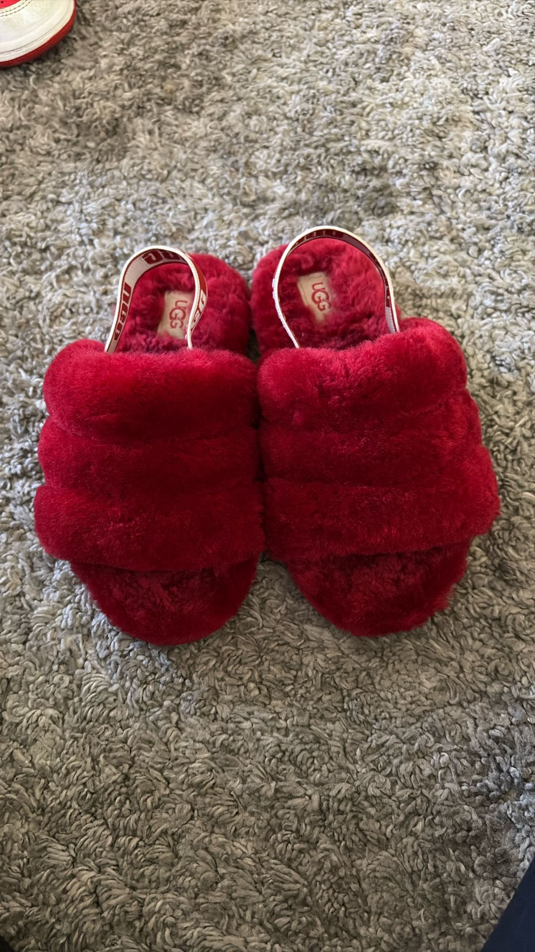 Kid Uggs Size 11