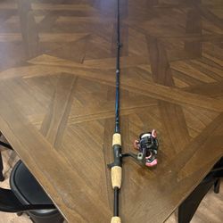 Shakespeare Fishing Rod