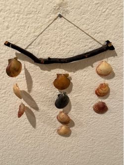 Wall hanging driftwood coastal decor seashells 9” w x 12” long