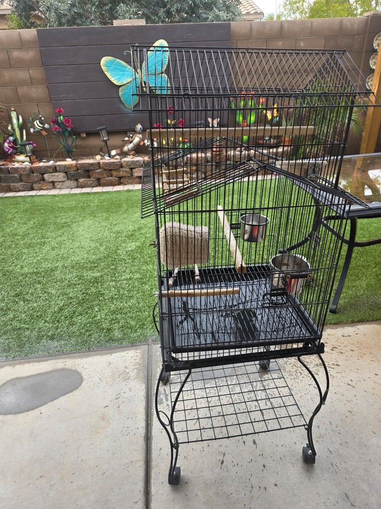 Big Bird Cage 