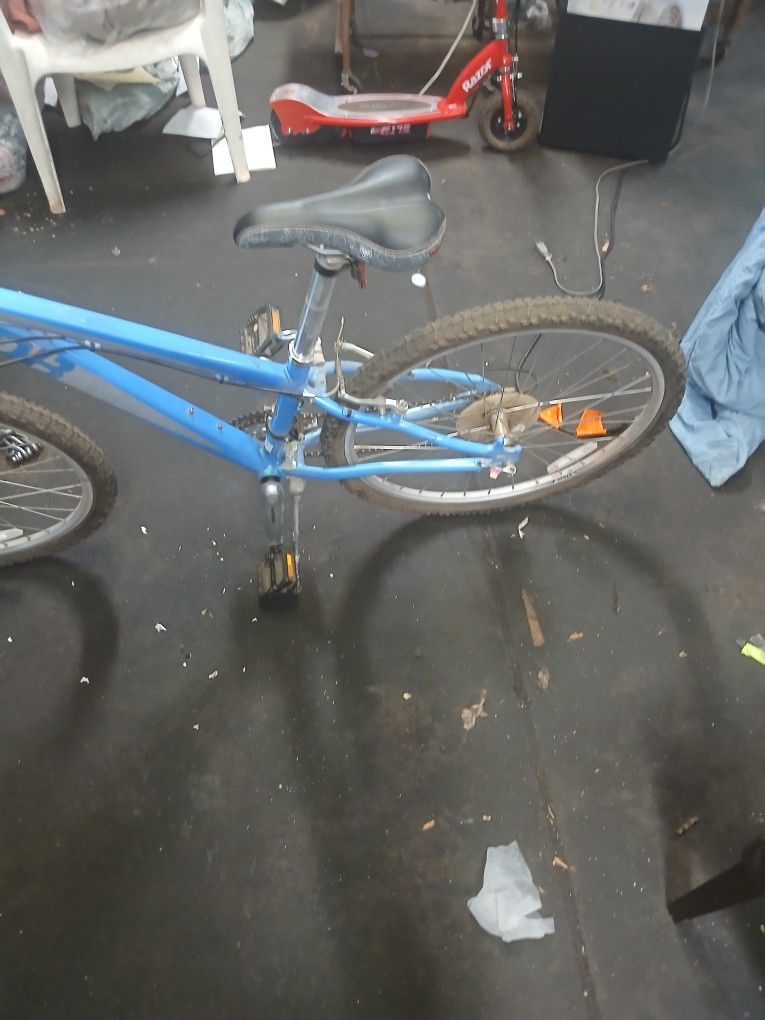 Diamond Back Mountain Bike