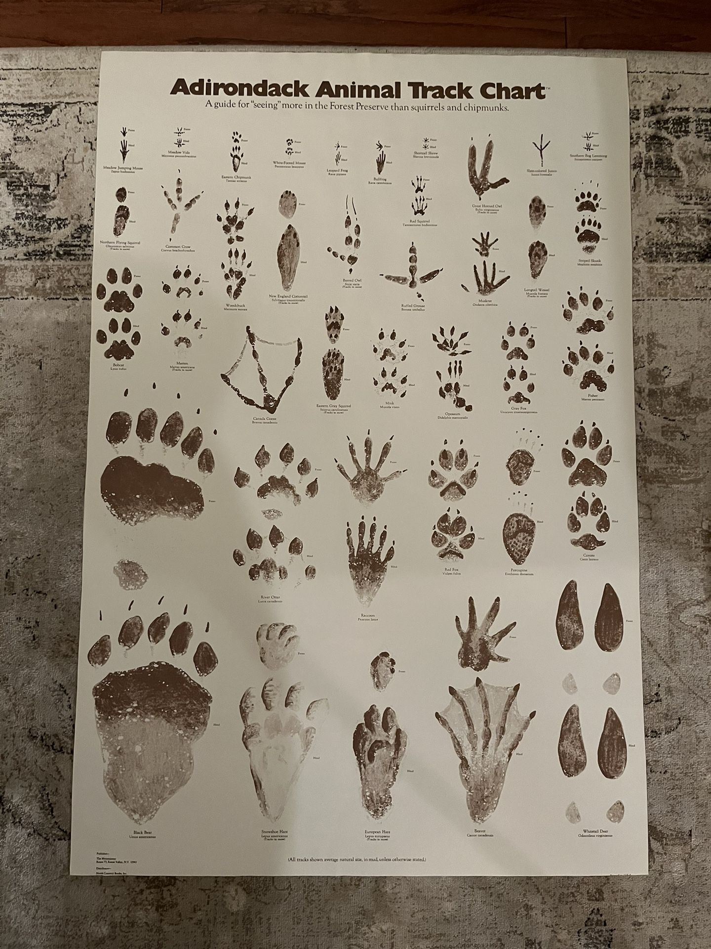 Apex OG large Adirondack animal track chart poster 2’ x 3’ purchased in the Adirondacks ( Frame Not Included)