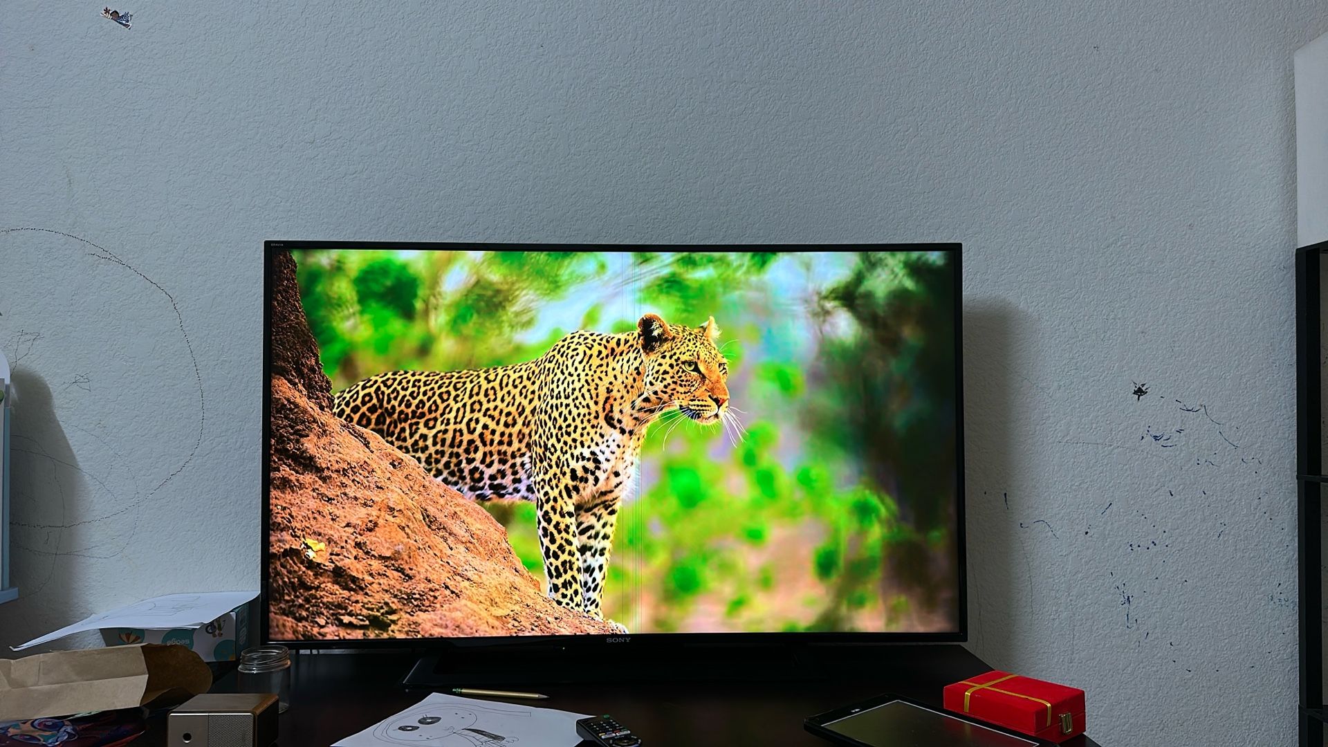 Sony LED TV
