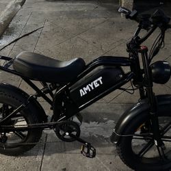 Electric Bike